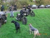 ASTIG Hersttreffen 2008 033.jpg